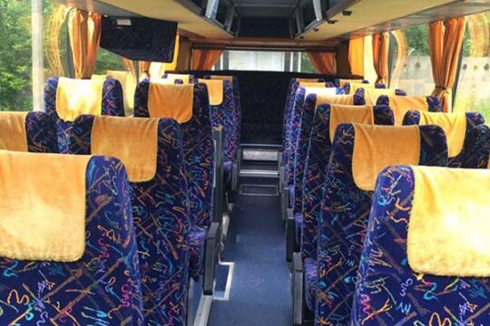 Neoplan 213